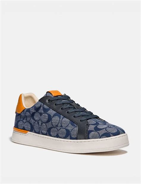 coach lowline low top sneaker.